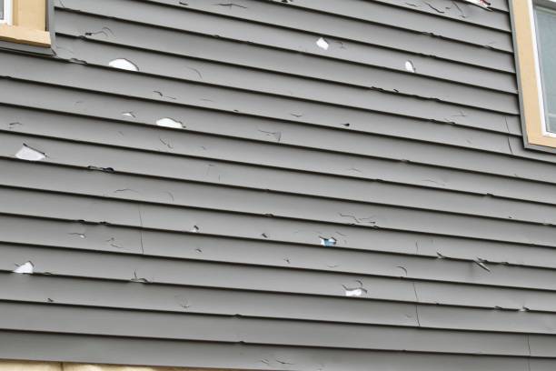 Best Wood Siding Installation  in Kempner, TX